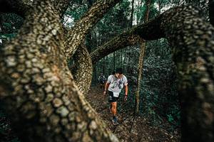 BIB: 
                            <button type="button" onclick="openModal(25393255)" class="btn btn-primary btn-sm float-right btn-popup" data-toggle="modal" data-target=".modal-high-quality">
                        <i class="fas fa-shopping-cart"></i> Add to Cart
                    </button>
                                            <button type="button" onclick="isThisMe(25393255, true)" class="btn btn-success btn-sm float-right btn-popup btn-isme hidden" data-toggle="tooltip" data-placement="bottom" title="นี่คือรูปของคุณใช่ไหม คลิกที่นี่เพื่อเอาเข้าอัลบั้ม">
                        <i class="fas fa-plus"></i> Add to album
                    </button>
                    <button type="button" onclick="isThisMe(25393255, false)" class="btn btn-warning btn-sm float-right btn-popup btn-isnotme hidden">
                        <i class="fas fa-ban"></i> Remove from album
                    </button>